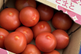 味わい深い甘み。さきたまトマト  1kg