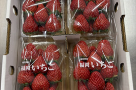 【即日発送】紅ほっぺ4パック