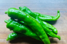 とうがらしの王様！京都府産万願寺とうがらし（サイズの大小あり）　500g
京野菜