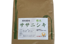 【新米】令和5年 ササニシキ白米7kg農薬・化学肥料不使用