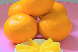 ほろ苦くて上品な甘さの『木成り』八朔(はっさく）和歌山県産