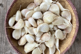 Today 5kg 本年度 初物 大分県産 にんにく 楽天市場】新物☆あす楽 にんにく 青森 5kg 訳あり Mサイズ以上
