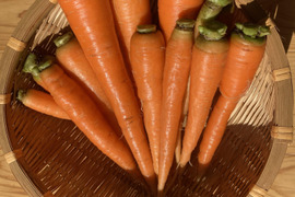 訳ありニンジン1kg◆農薬・肥料・動物性堆肥不使用