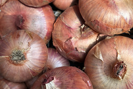紫玉ねぎ5kg農薬化学肥料不使用