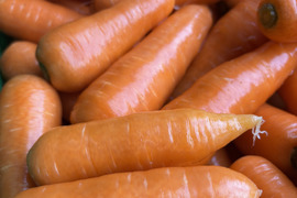 『訳あり』形悪くたって食べて欲しい人参 5kg