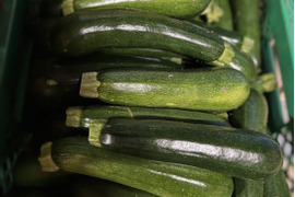 【訳あり】ズッキーニ　群馬県東吾妻町産　13kg