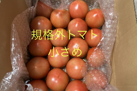 規格外小さめ★80サイズ箱詰め合わせ