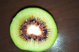 キウイフルーツ　レインボーレッド2.3ｋｇ