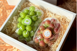 華やかに彩る、特別なひとときにふさわしい贈り物『シャインマスカット＆サニードルチェ』ギフト用１kg