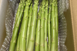 2L〜3L 水の都 熊本の渓谷育ち｜甘み溢れる「極太」アスパラガス 500g