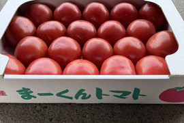 美味さの秘訣は【土耕栽培】にあり！　まーくんトマト　秀優品　八百結び農法　大玉トマト