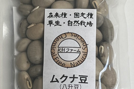 低温焙煎ムクナ豆　自然栽培