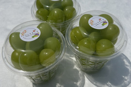 【ワケあり】旬を先取り！ハウス栽培シャインマスカット！（ご家庭用・250g×3Ｐ）