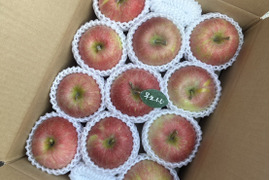 🍎早生ふじ約3キロ🍎8〜12玉《家庭用》ID284719