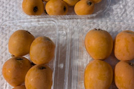 【特売】びわ   大玉２Ｌ１０個と小玉 びわ１０個  合計２０個