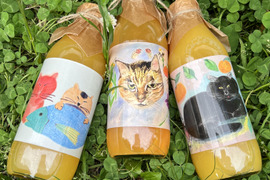 【農薬不使用】ねこ農園ジュースセット【青島みかん／八朔／ネーブル】