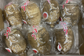 今が旬！【年越し蕎麦に】ビリっとうま辛い！風味が豊かな辛味大根★Sサイズ★松館しぼり大根(5Kg)