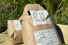 令和6年新米　特別栽培米　神戸のまごころヒノヒカリ　玄米　10kg