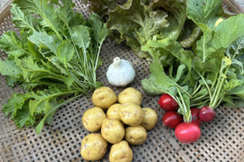 兵庫県丹波市から！栽培期間中農薬不使用の野菜セット（５品）