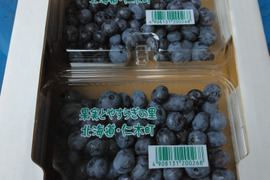 朝採り　生ブルーベリー　１ｋｇ（２５０ｇ×４Ｐ）