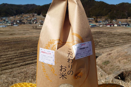 【玄米】伊東農園コシヒカリ5kg:健康に良い!香り味が最高!