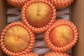 すぐ発送❗️希少な桃！果汁たっぷり！ゴールデンピーチ 信州産 2kg（4～8個）