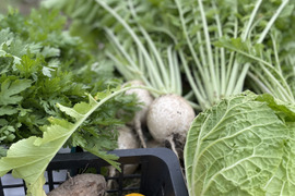 【初回BOX】おひとり様用60サイズ箱いっぱい(S)3種類の野菜セット