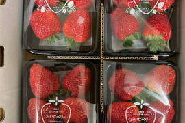 ２～３月限定！極甘！濃厚！特大！広島県北広島町産おいCベリーDXサイズ６粒入り×４P