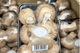大田区で収穫！東京福しいたけ(500g・パック包装)