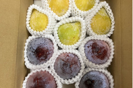 ラスト！一度は食べてみて！すももの王様 【皇寿andケルシー】家庭用　＃S03