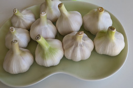 【生ニンニク500g】農薬・化学肥料・除草剤は不使用