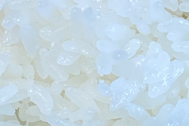 【令和4年度新米】淡路島産　お米　ヒノヒカリ（精米10キロ）
