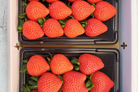 埼玉いちご「あまりん」270ｇ×2ｐ