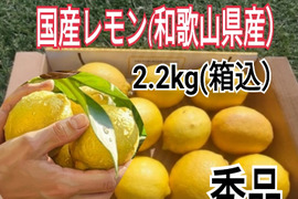 採れたて【4/中旬収穫】皮ごと使える❣国産ユーレカレモン2kg(箱込）＋痛み保証増量