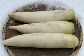 【農薬・化学肥料不使用】MOA自然農法で育った大根・赤かぶ4種セット 2kg