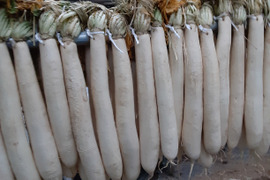 たくあん用干し大根　8本