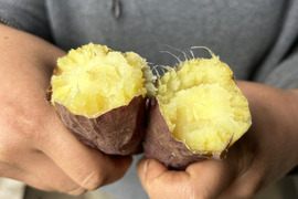 熊本県産オーガニックさつまいも！シルクスイート【上品で甘すぎないけど濃厚な甘さ】（箱込み5kg）絹の様なしっとり口どけ！