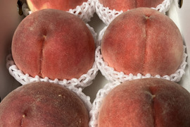 【贈答用】なつっこ2kg🍑