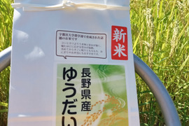 新米 令和7年産  信州育ちの　ゆうだい21  白米5㎏