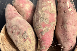 訳アリ！紅はるか土付き20㎏