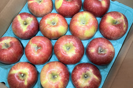 美味しい完熟りんご『シナノスイート』3kg
