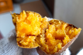 コロコロ熟成安納芋５キロ　SSサイズ