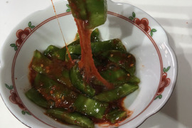 世界初⁉　サボテン×キムチ！「もぐもぐサボテンのキムチ（きざみ）」100ｇ