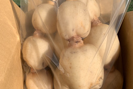 お試し小さめセット