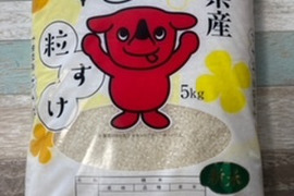 【令和６年産】千葉県産　粒すけ　１０㎏　玄米