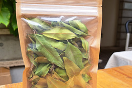 香り豊かなレモンマートル ドライ 10g