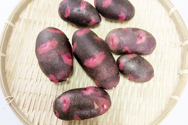 新じゃがいも【デストロイヤー】箱込約2kg美味しいと大評判