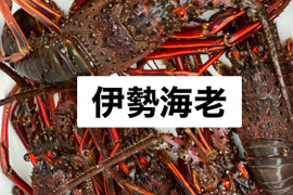天然物！　熱海産　伊勢海老2キロ
