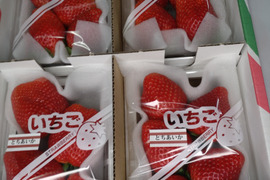 食べ比べセット「とちあいか」「とちおとめ」(特大)200〜220g(4〜7粒)×4p