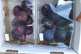 西洋いちじく2品種詰め合わせ ロードス約300g×2パック　ビオレソリエス 約300g×2パック　 【栽培期間中農薬.化学肥料不使用】